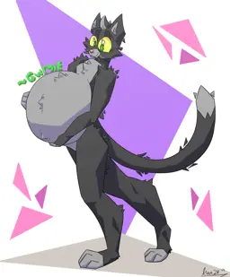Image post titled "bloated gato"