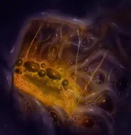 Image post titled "Sliding in the stomach"